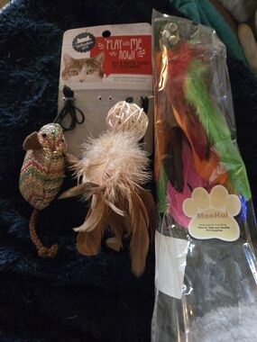Multicolor Feather Cat Toy Set - Assorted Bright Feathers and Tan Feather Teaser